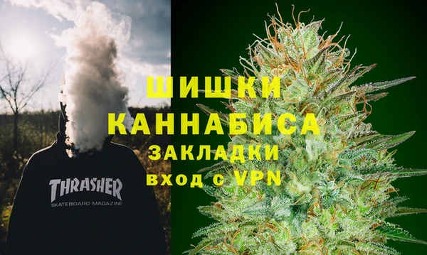 прущие грибы Алзамай