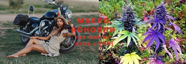 прущие грибы Алзамай