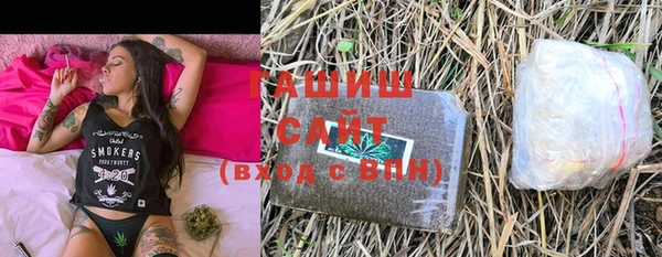 прущие грибы Алзамай