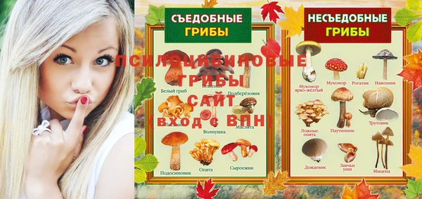 прущие грибы Алзамай