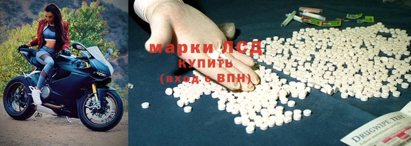 прущие грибы Алзамай