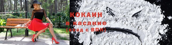 ПСИЛОЦИБИНОВЫЕ ГРИБЫ Алексеевка