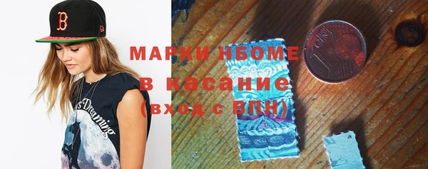 прущие грибы Алзамай